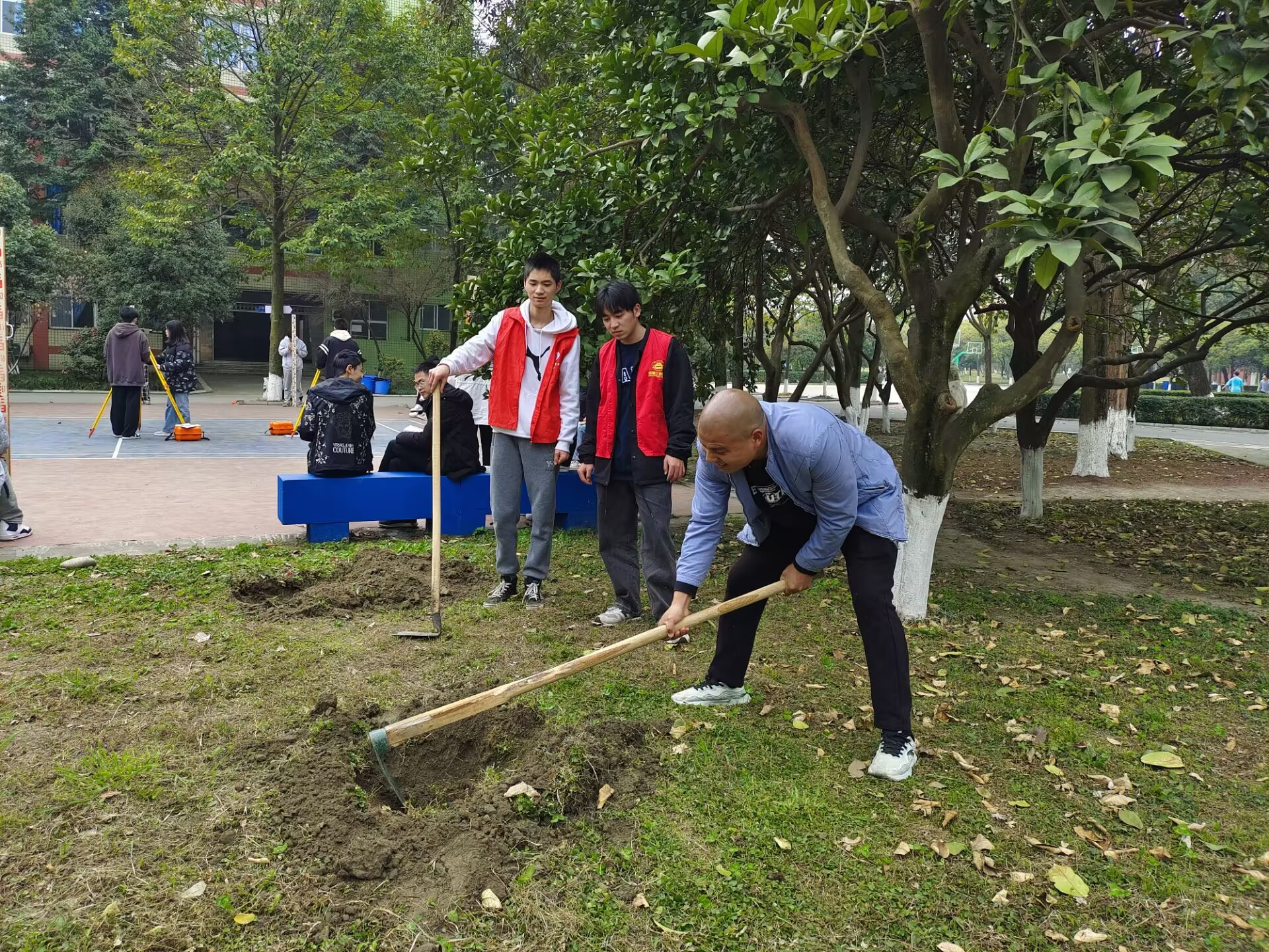 图片1.png 图片1.png