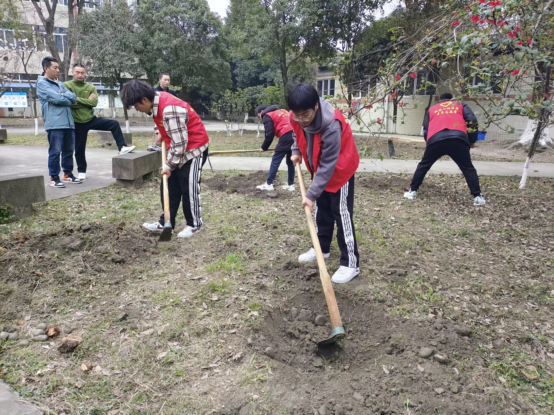 图片2.png 图片2.png