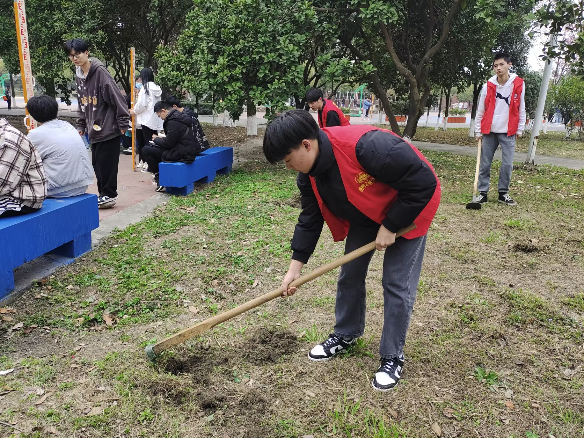 图片3.png 图片3.png